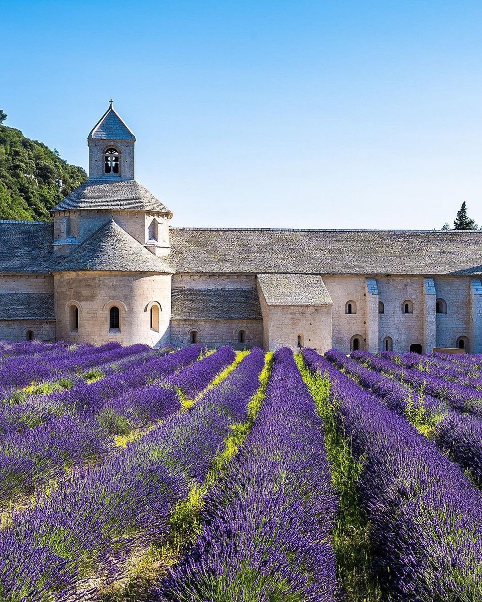 frrivieraguide's tweet photo. Abbaye Notre-Dame de Sénanque, #Provence #gordes #senanque 🇫🇷
By Graham Shellswell https://t.co/AxJv1dfZwU