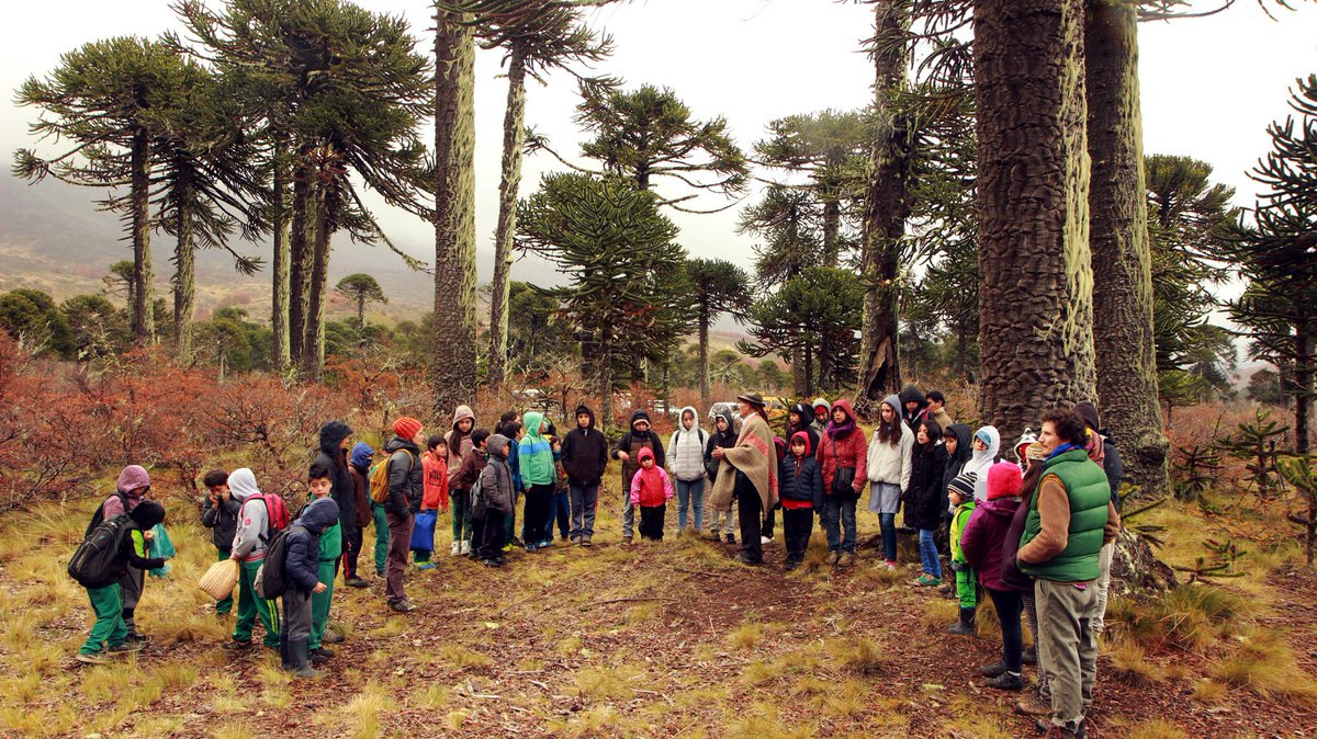 Nuevo trabajo <a href="/Trends_Ecol_Evo/">Trends in Ecology & Evolution</a>. Sobre nuestra experiencia trabajando con comunidades en los Andes, proponemos "Ciclo Transdisciplinar de 10 Pasos" para diseñar proyectos para construir resiliencia socioecológica en montañas. Ilustración M. Medina <a href="/juliancaviedesp/">Julián Caviedes</a> @sarahlan_m