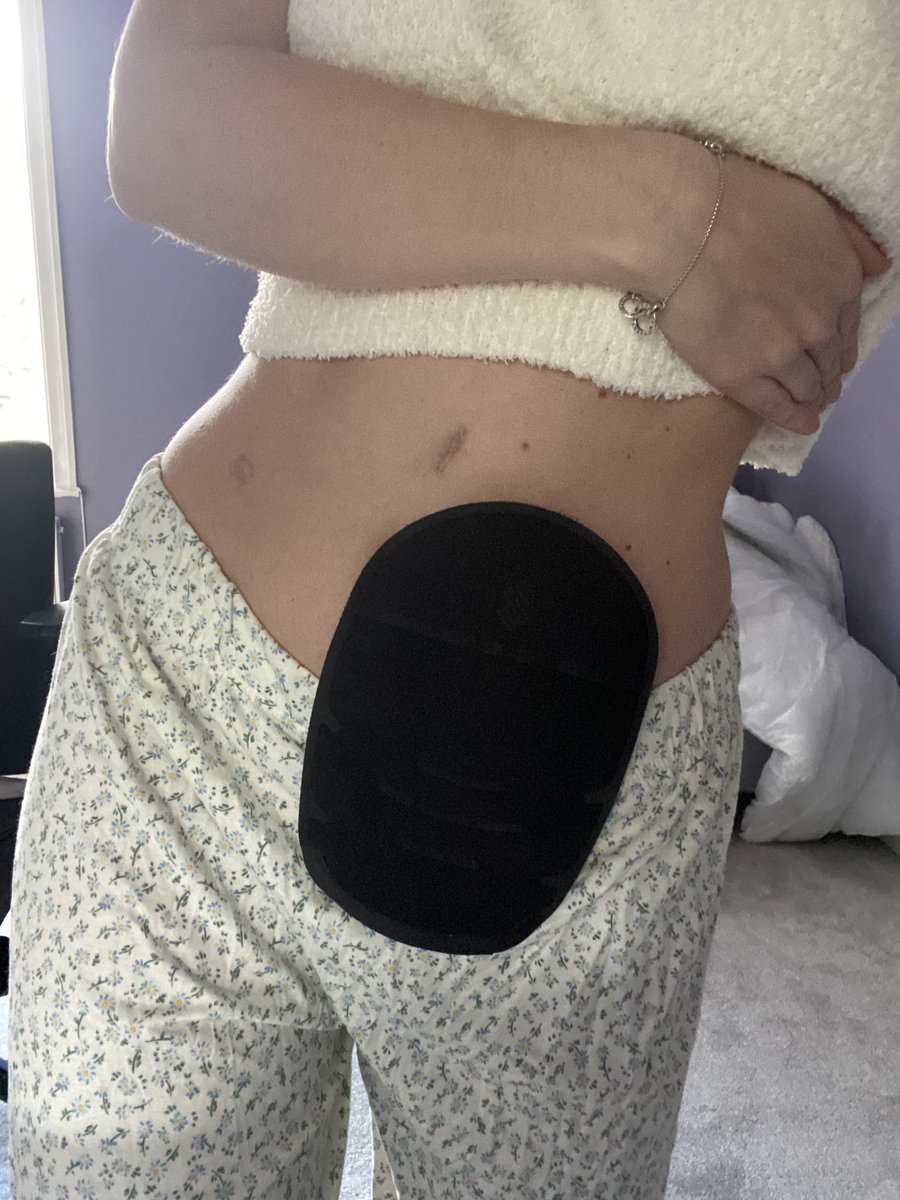 lunabug 🌙 tweet media