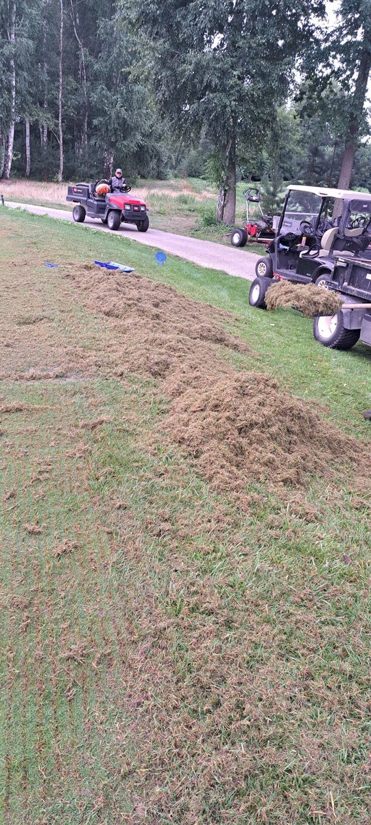 BuckleyShane's tweet photo. Tees taking a pounding these last few days https://t.co/cfEysgMNmw