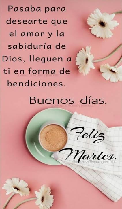 Feliz Martes!!! Bendiciones gente Bonita🌼