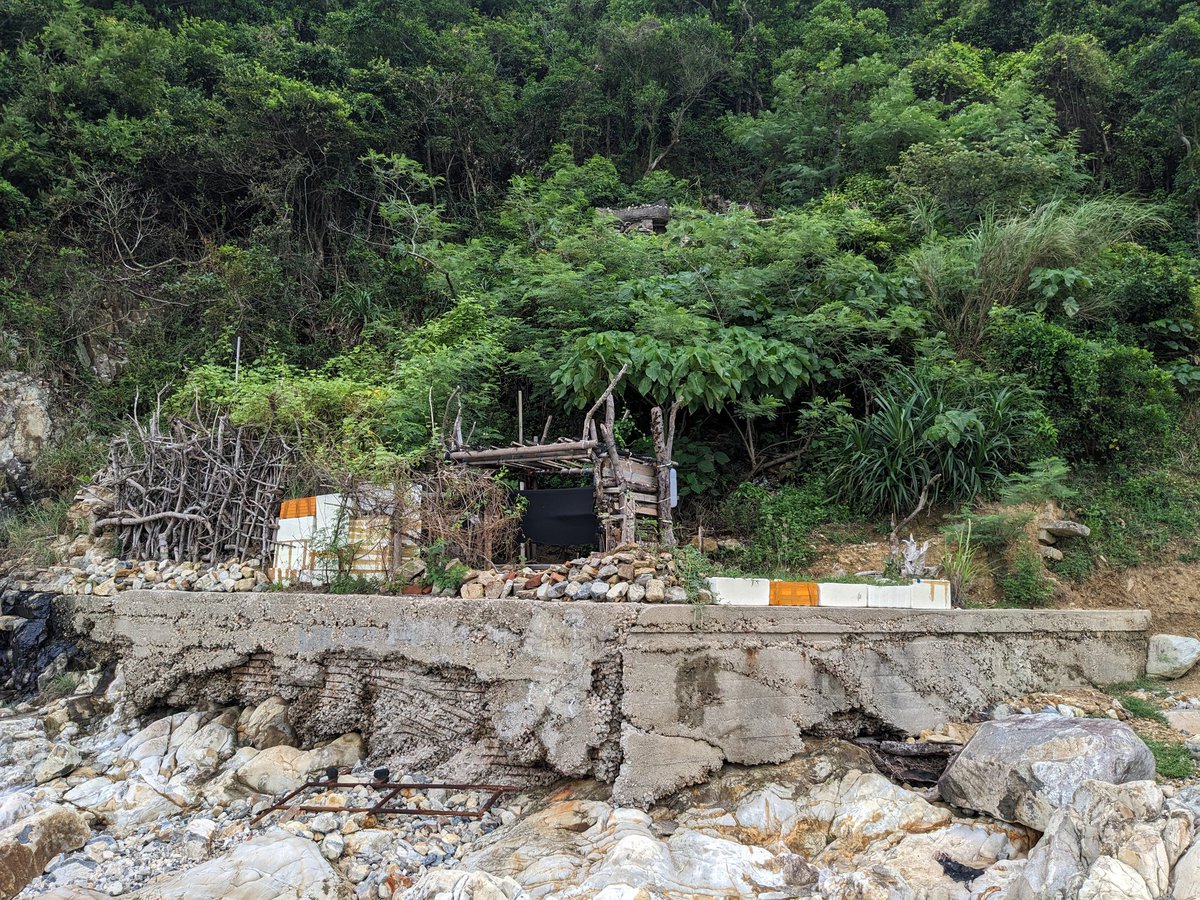 HK_Exfo's tweet photo. Stepping back, we see the upper "searchlight" portion poking above the trees, while the narrow entrance is quite hidden. The inaccessibility of the site means it is in mostly good shape. https://t.co/AGebnZg6qq