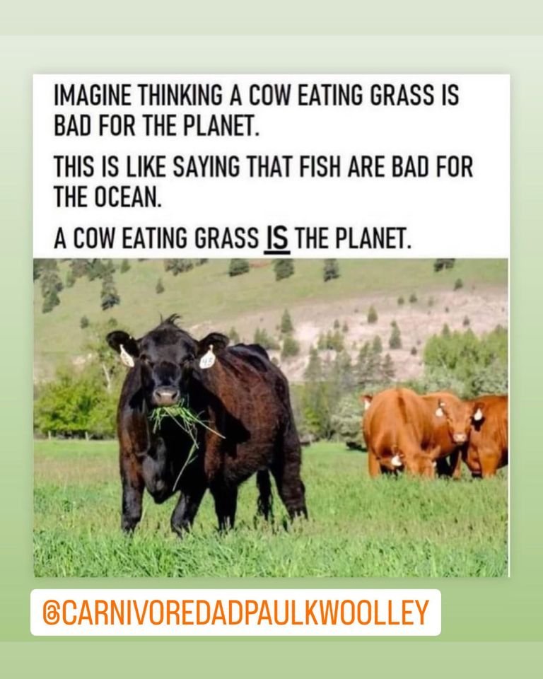 TenhatLB's tweet photo. Real food is the basis for real health.
#meatheals #JERF https://t.co/mmlwPDKxtx