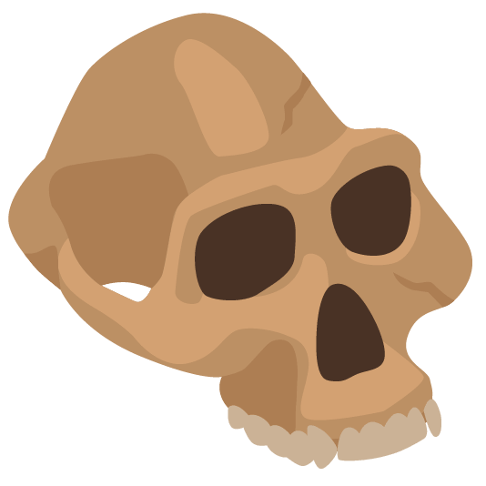 Yoni Brande tweet media