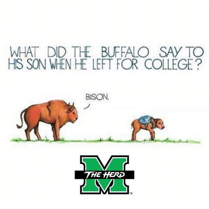 DowntownHWV's tweet photo. It's that time of year again...
#HerdNation // #OneOfTheHerd https://t.co/wAQ6YtMRRh