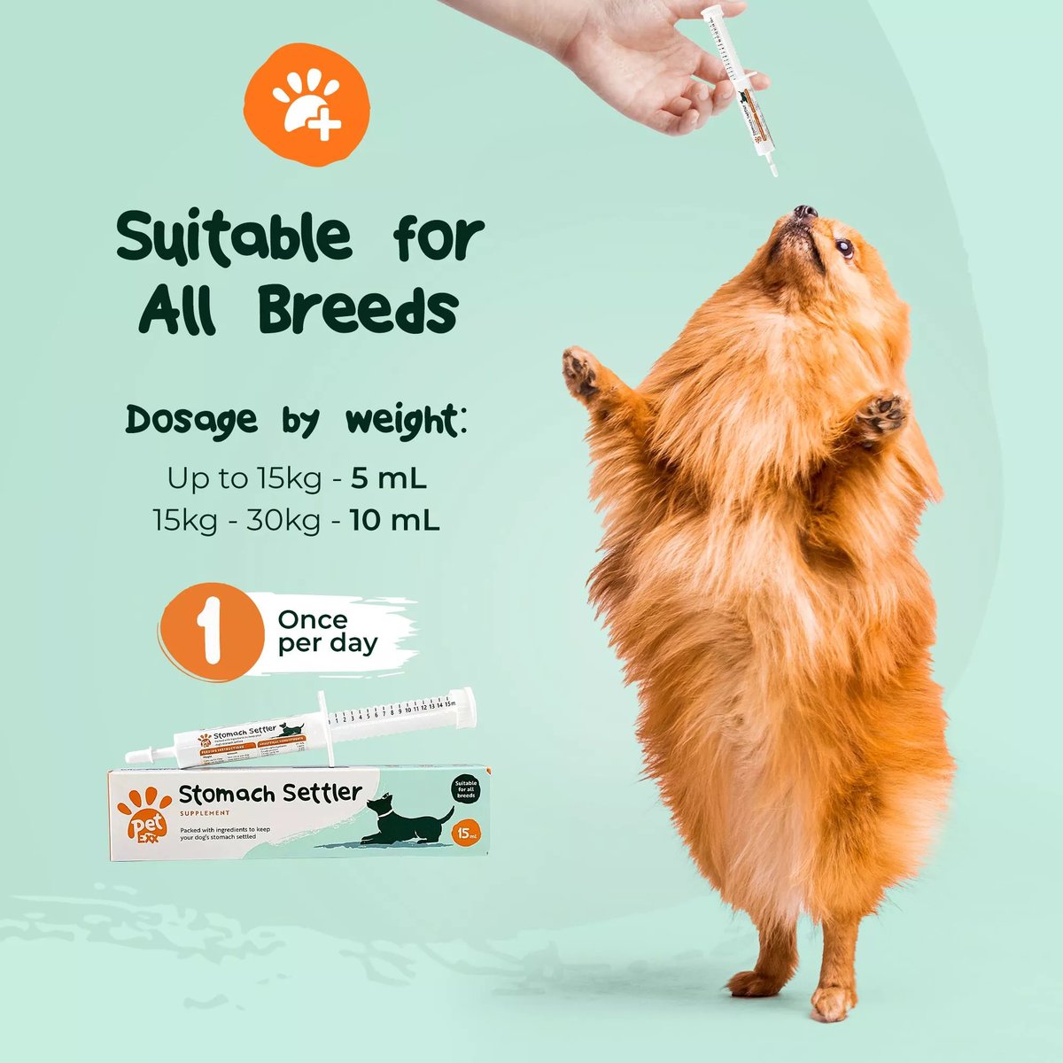 GoodVetPetGuide's tweet photo. Is your #cat or #dogs stomach out of sorts?
Give @ExxPet Stomach Settler a try!
Just one dose of this pre &amp; probiotic paste will increase the good bacteria needed to settle &amp; soothe your #pets stomach
Shop now:
https://t.co/31ZLLbaIx7
#thepetsbiz #supplements https://t.co/VktKqm9lXN