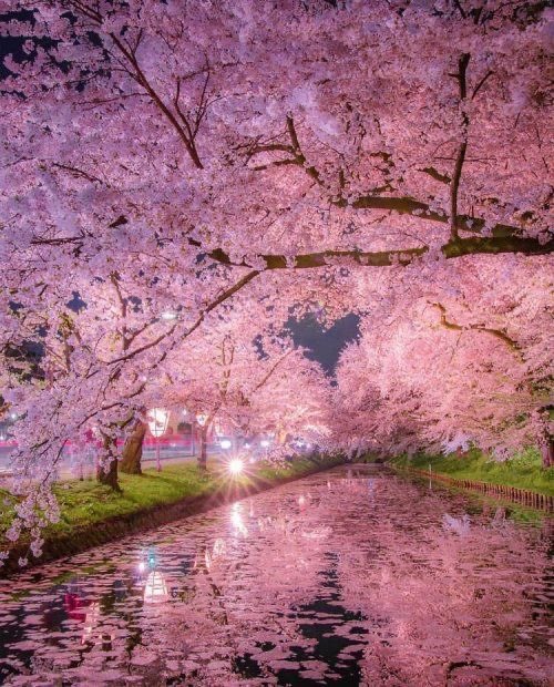 heartipink's tweet photo. heart https://t.co/q9giVatx07