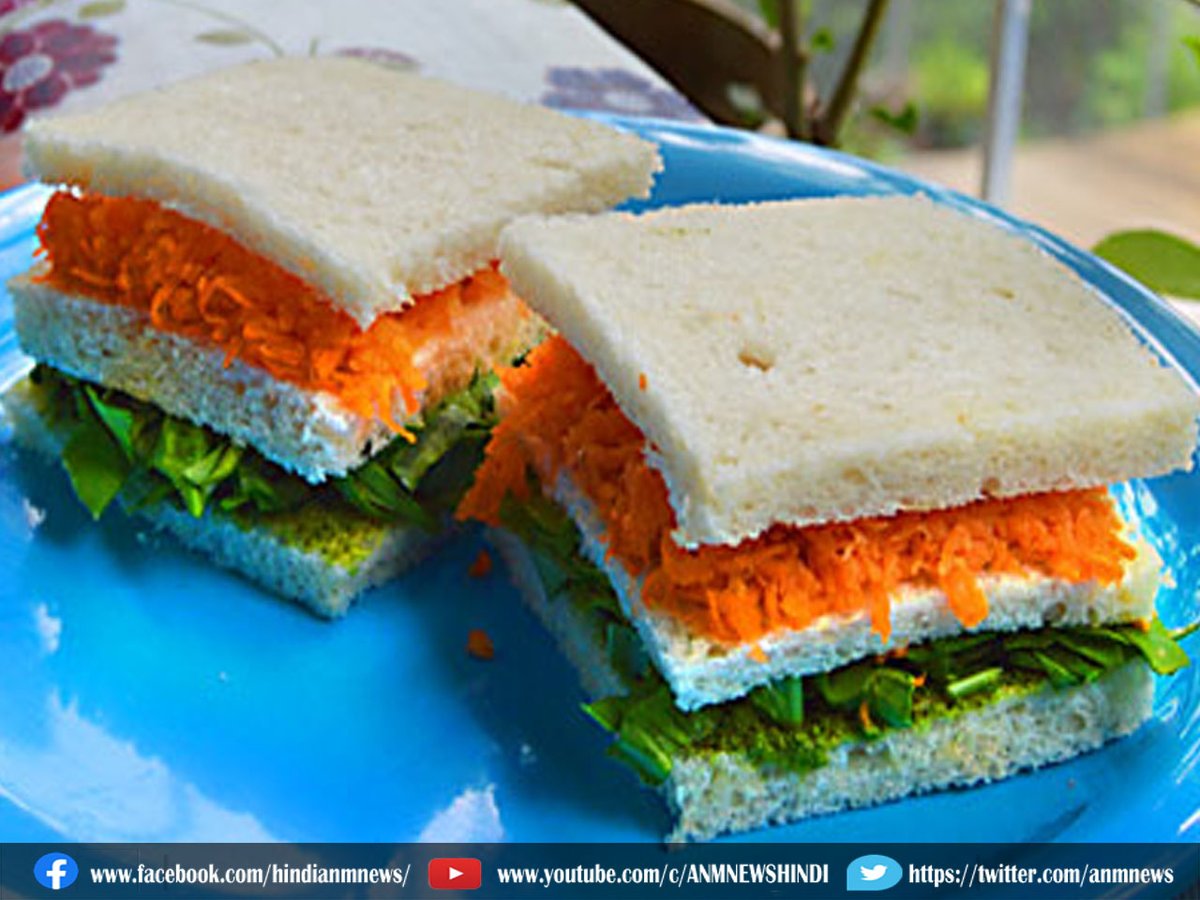 AnmNews's tweet image. 15 अगस्त के दिन ट्राई करें Tiranga Sandwich

anmnewshindi.in/good-health/tr…

#TirangaSandwich #breadslice #mixture #schezwansauce #anmnews #LatestNews