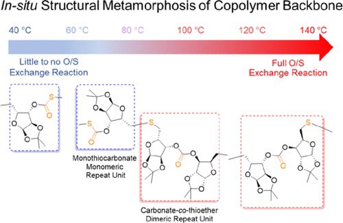 isciverse's tweet photo. Structural Metamorphoses of d-Xylose Oxetane- and Carbonyl Sulfide-Based Polymers In Situ during Ring-Opening Copolymerizations

@J_A_C_S @isciverse #Chemistry #chemed #scicomm #news #Technology #Tech #NewsBreak #research #science #AcademicTwitter

https://t.co/p3BbixWruF https://t.co/CINXqW8qOk