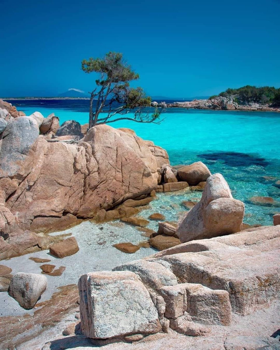 alligusta's tweet photo. @viewsoff_ Aggiungo la spiaggia di Capriccioli, Costa smeralda! https://t.co/pQn08aEZjR