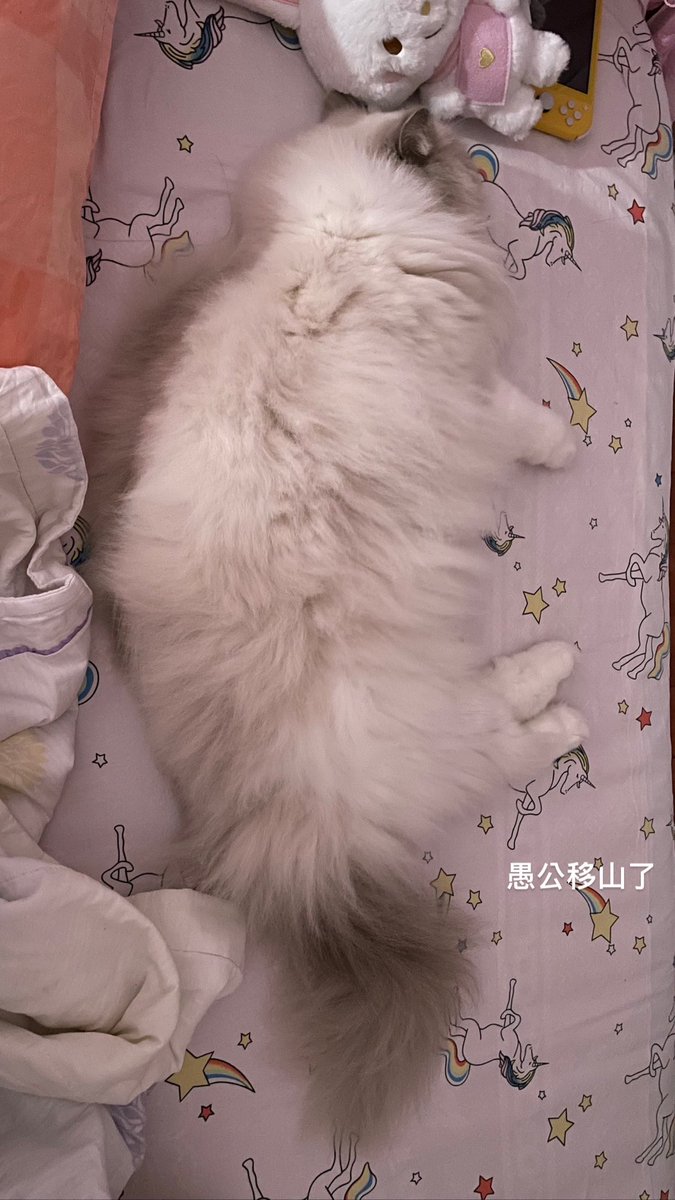 是哪个小伙子这么喜欢霸占我的床
