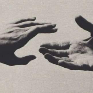 “Andábamos sin buscarnos pero sabiendo que andábamos para encontrarnos”.
Julio Cortázar