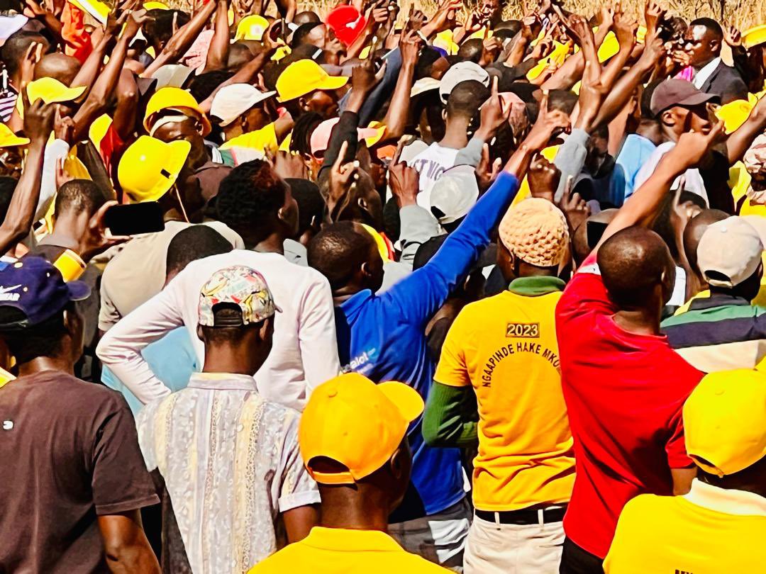 Gift Ostallos Siziba tweet media