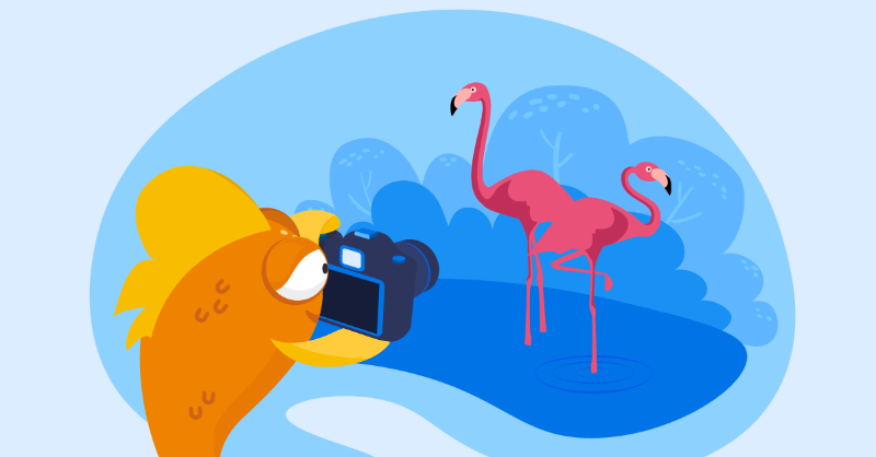 Namecheap.com tweet media