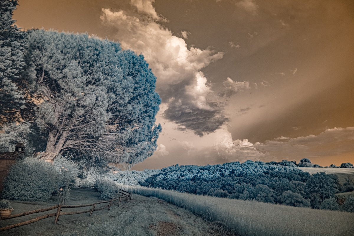 LeeVaris's tweet photo. #bobbiandleesphotoadventures w/ #texturetuesday and a 590 IR capture from Tuscany
#fujixt5
#fujifilm
#fujifilmus
#fujifilmx_us
#myfujifilmlegacy
#10YearsOfXMount
#landscape
#infraredworld
#infraredphoto
#artphotography
#ihavethisthingwithshadows
#acolorstory
#welltravelled https://t.co/h7XKwKOLAX