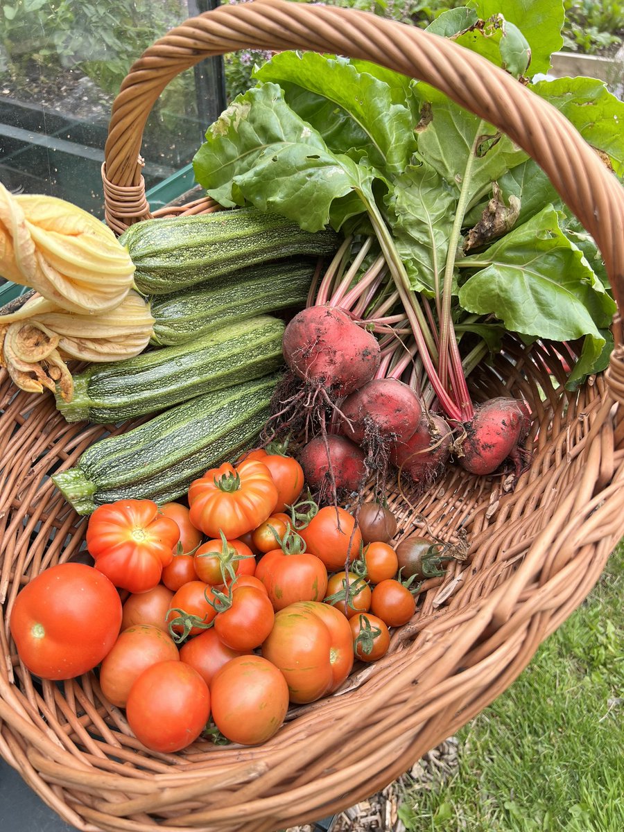 Delpys's tweet photo. Today’s harvest. Courgettes, Tomatoes and Beetroot! 😊 https://t.co/nySc97adyr