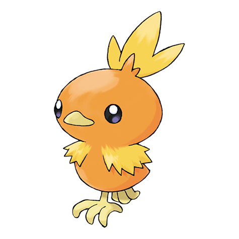 アチャモ 「Opinions on Torchic? 」|ChikoCheezのイラスト