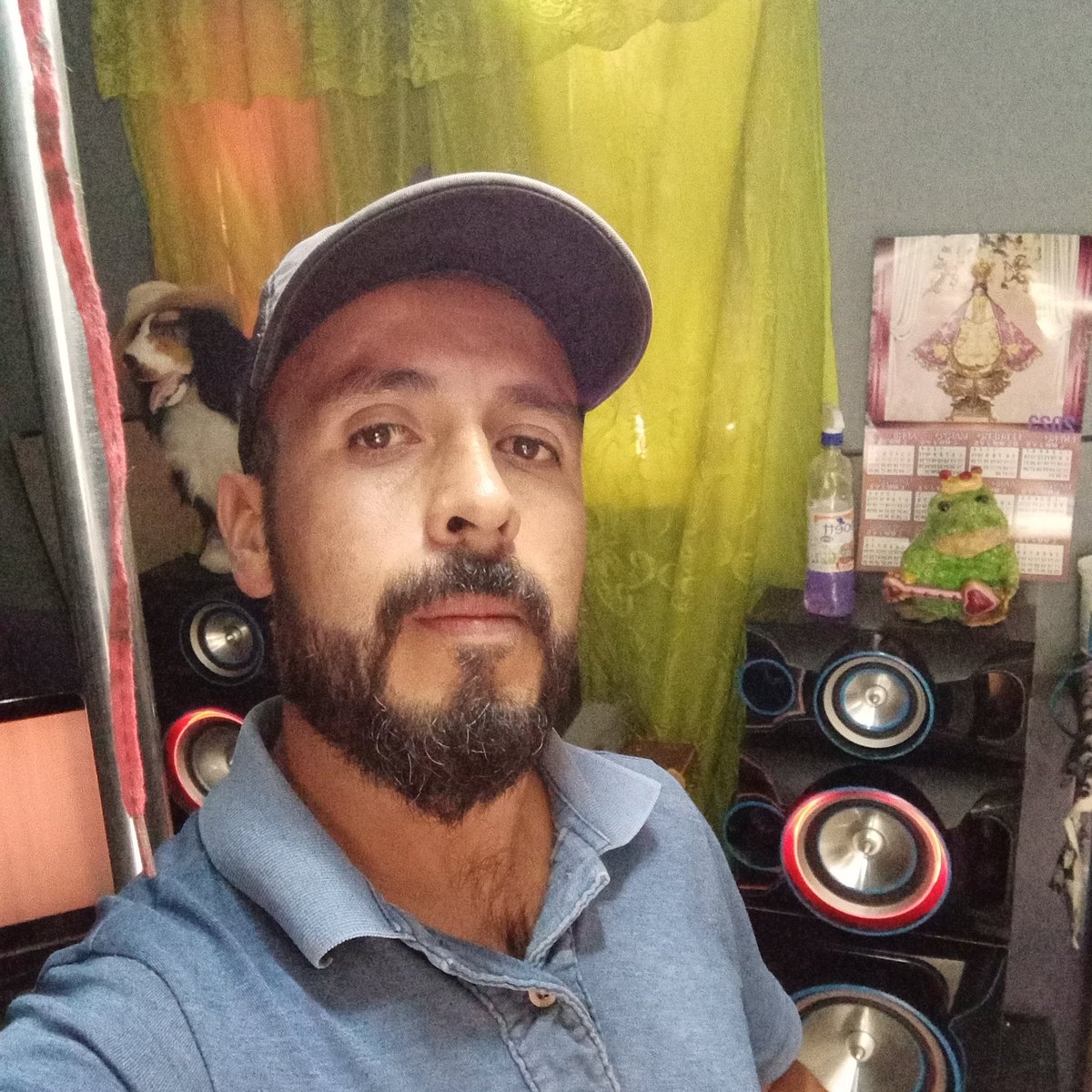 Perro Teniente tweet media