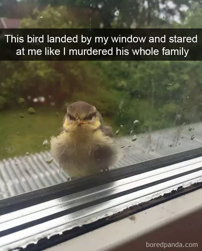 Miriam Wesselink (@miriamwesselink) on Twitter photo 