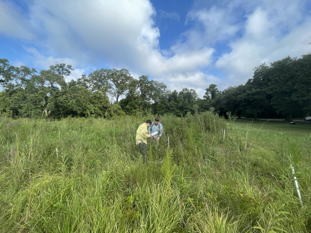 Daijiang Li (@_djli) on Twitter photo It is probably a bad idea to have a <a href="/DragnetGlobal/">DragNet Global</a> site in the wild Louisiana. How am I supposed to break into this plot to do survey? All Lonicera vines over the whole plot. Some plots are worse with all the black berries. It is probably a bad idea to have a <a href="/DragnetGlobal/">DragNet Global</a> site in the wild Louisiana. How am I supposed to break into this plot to do survey? All Lonicera vines over the whole plot. Some plots are worse with all the black berries.