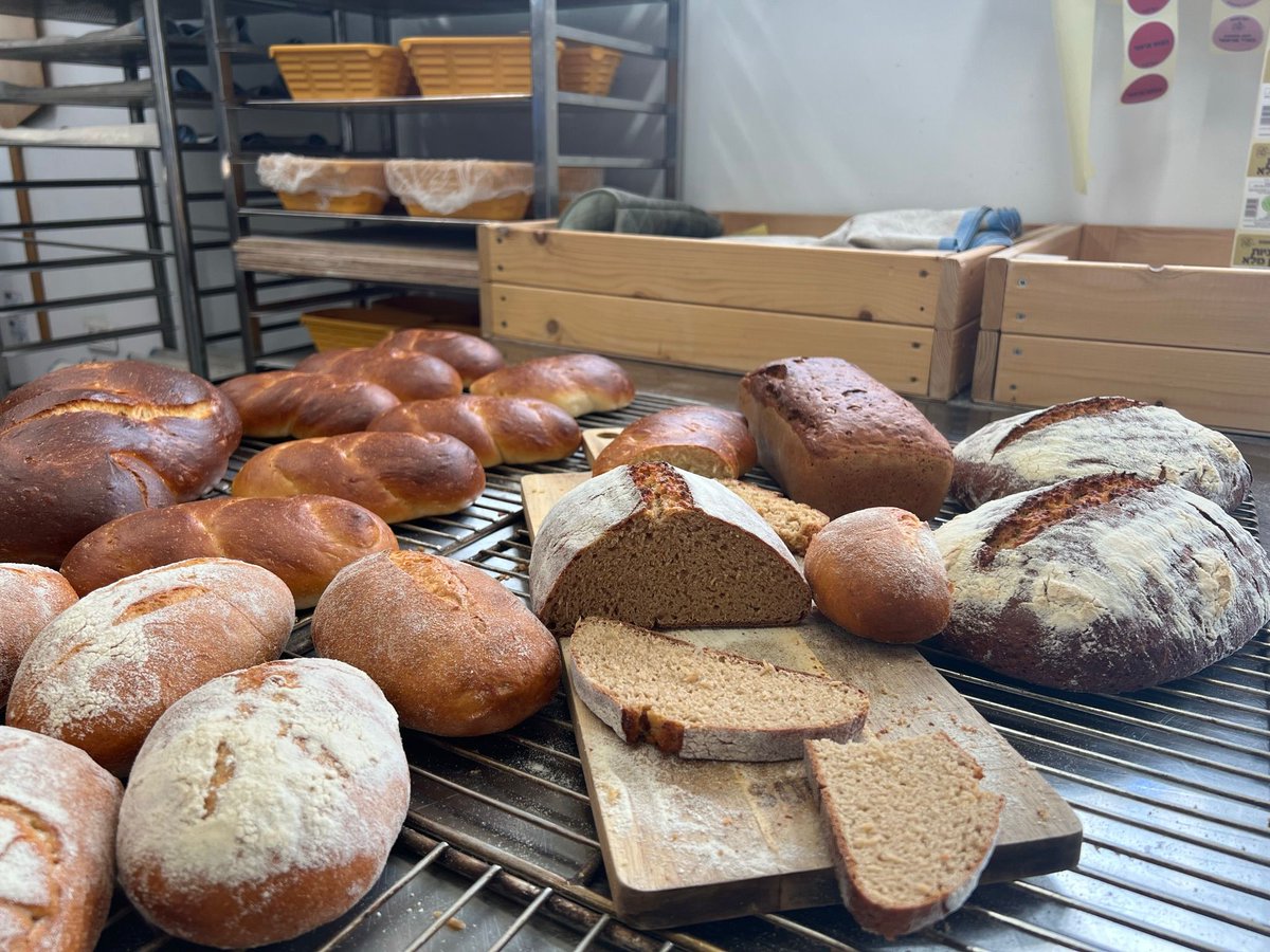 What if  bread had as much #protein as a roast beef sandwich? 🐮 We worked with our partners at #KemahHaaretz bakery and produced a variety of delicious breads with 15g of protein per 100g  (equivalent to a roast beef sandwich) with great #texture and #taste! 🍞💪 #plantprotein