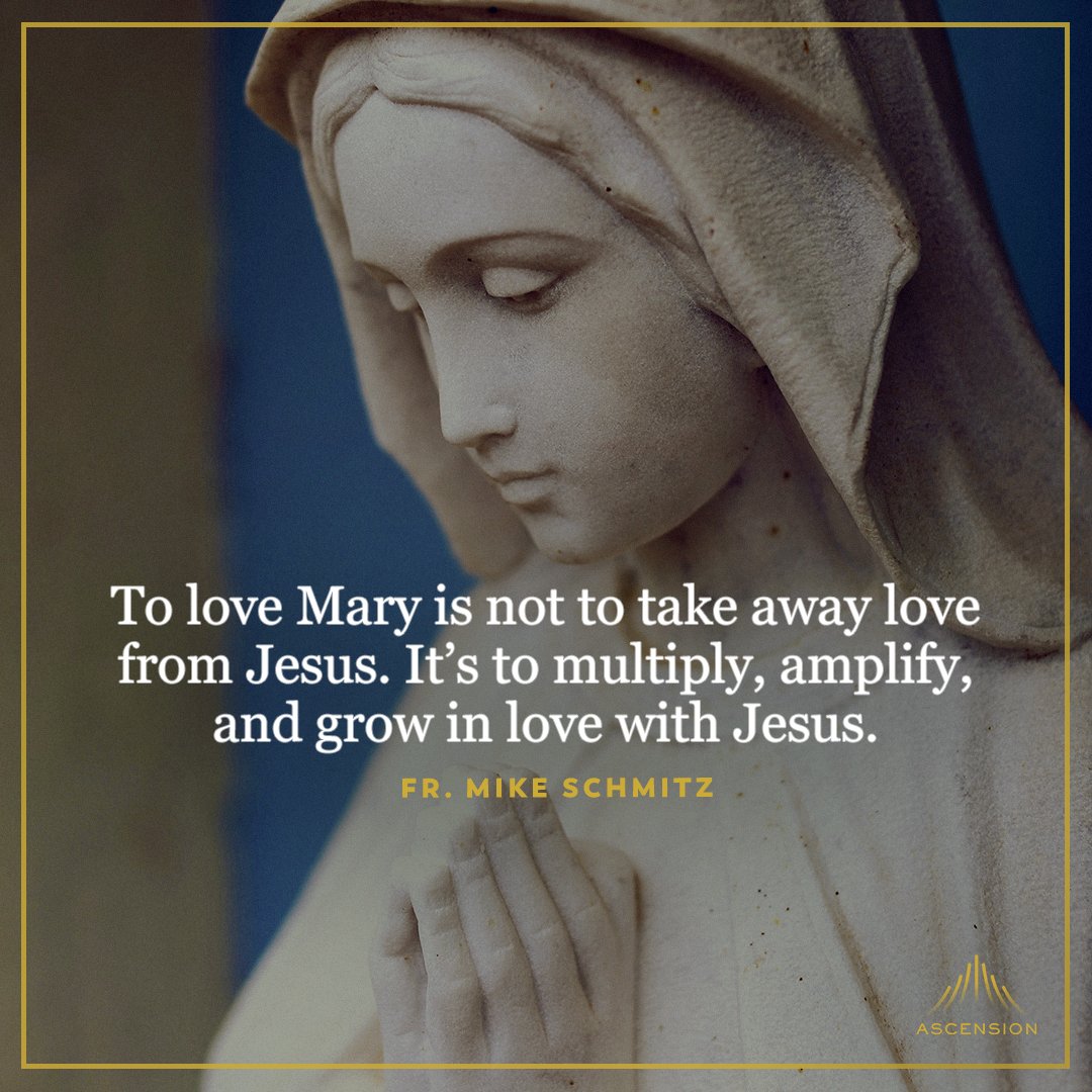 AscensionPress's tweet photo. Happy Solemnity of the Assumption of Mary! https://t.co/iANlINguXx