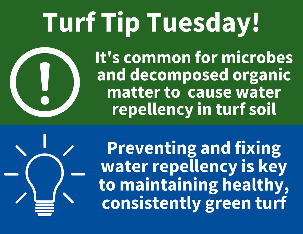 AquiMaxTurf's tweet photo. Make turf moisture management easier by understanding the basic science behind water-repellency and learning ways you can combat it. Dig in here: https://t.co/BbDmbx5mGi #turfmanagement #turftips https://t.co/fw0m0wYwXV