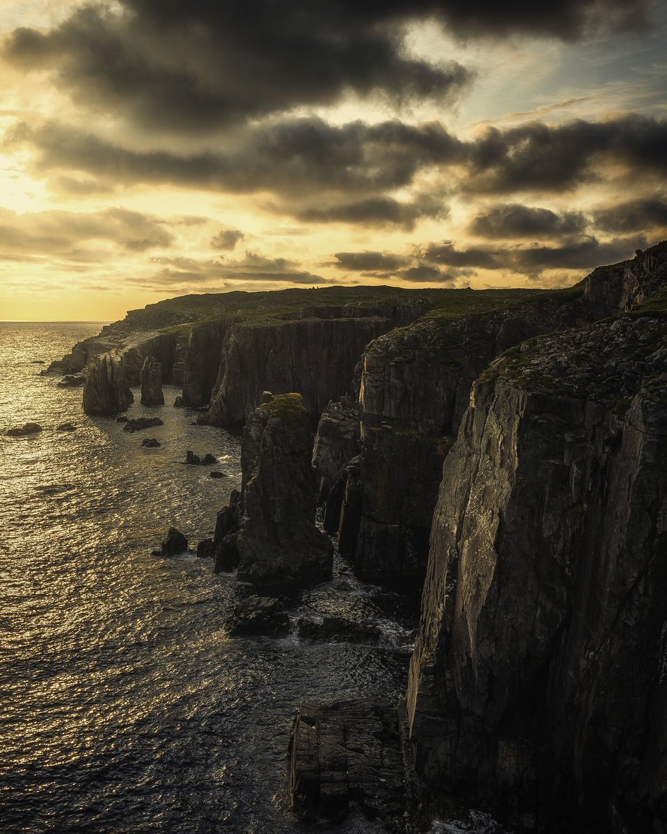 Blue hour or Sunrise? Which do you prefer?

#newfoundland #canada