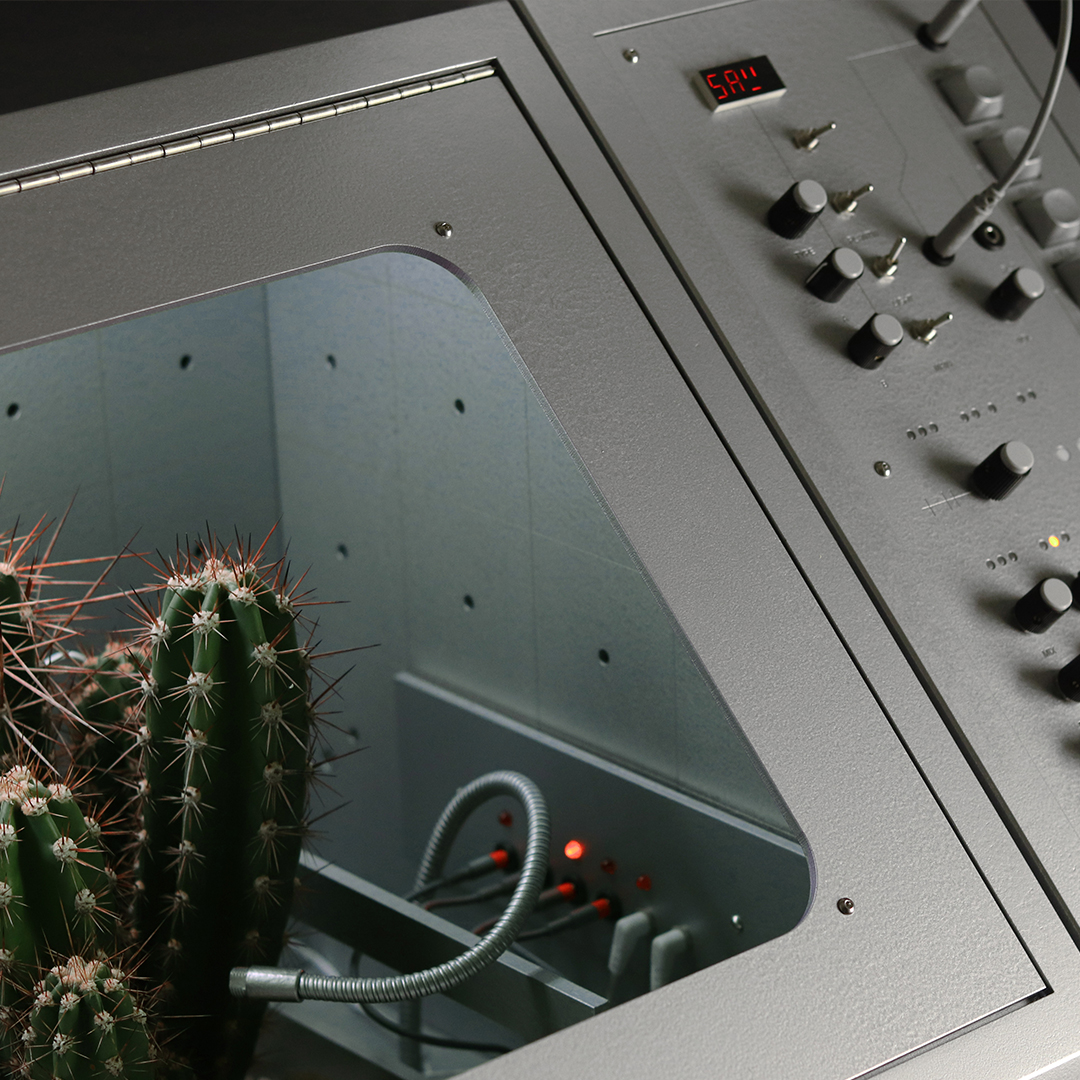 _neural's tweet image. Neural: @HultenLove - Desert Songs, invisible signals from plants - neural.it/2023/08/desert…
#newmediaart #biodata #bioart