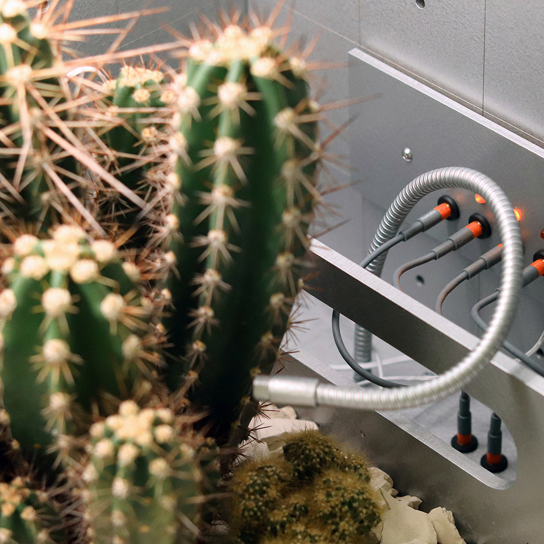 _neural's tweet image. Neural: @HultenLove - Desert Songs, invisible signals from plants - neural.it/2023/08/desert…
#newmediaart #biodata #bioart