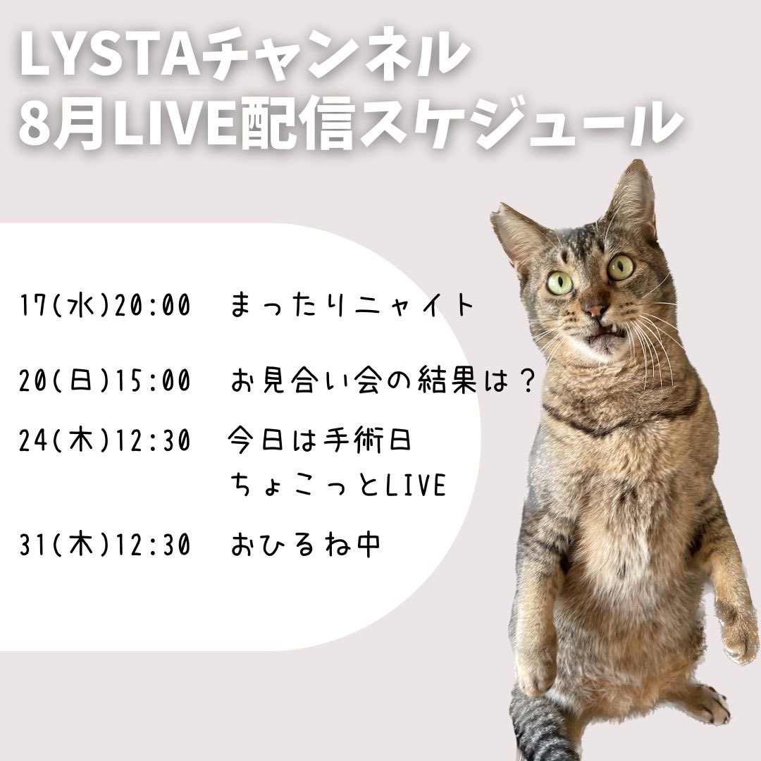 NPO法人動物愛護団体LYSTA/里親募集型保護猫ふれあいサロンOhana tweet media