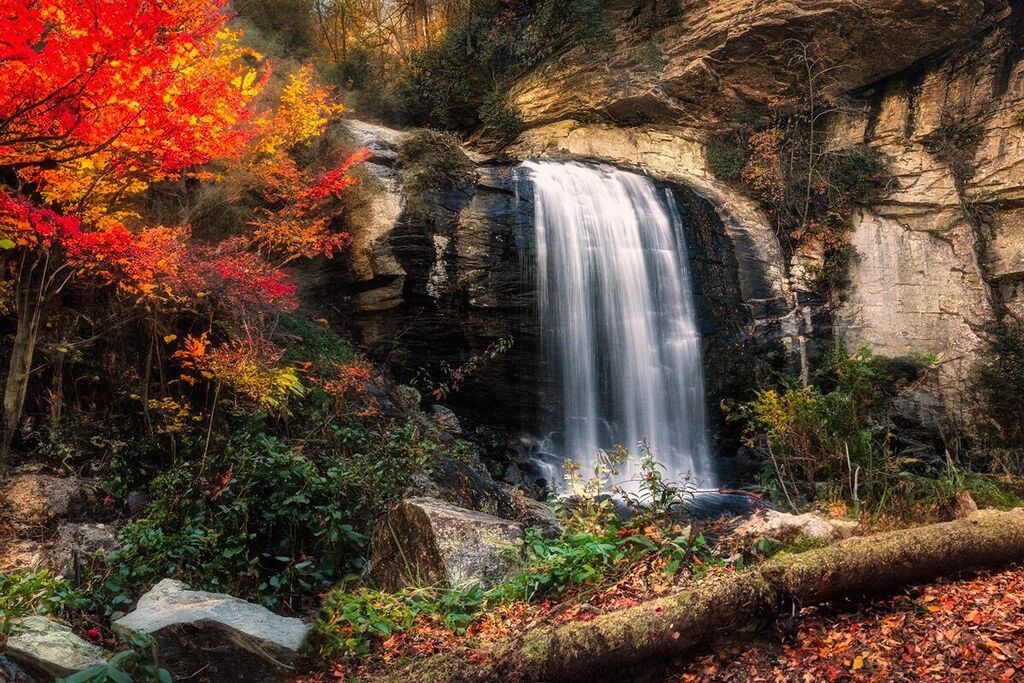 Waterfall in North Carolina #northcarolina #hangingrockstatepark #fall #fallfilter #waterfalls #fallcolors #leaf #northcarolina #northcarolinaphotographer #northcarolinaliving #onlyinnorthcarolina #naturalnorthcarolina #northcarolinaoutdoors #northcaroli… instagr.am/p/Cv9dUSluo21/