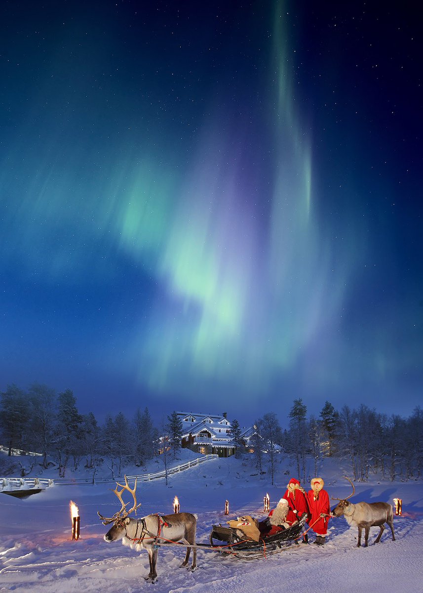 ArcticDirect's tweet photo. Dreamy views at Kakslauttanen Arctic Resort! The perfect place for any celebration!
#celebrationhouse #northernlights #aurora #finland #scenicviews
Photo Credit: Kakslauttanen Arctic Resort https://t.co/Zu8C1SiZKx