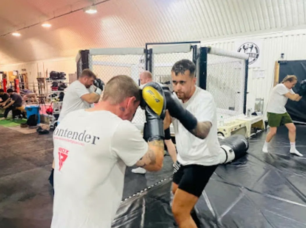 White Collar Fighter tweet media