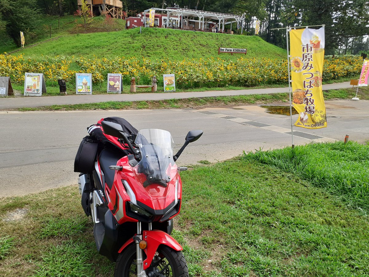 o_tyandaa's tweet photo. １ヶ月ぶりにバイクツーリング暑いのでソフトクリーム巡り！✨イチゴソフトとハチミツソフトを食べて来ました！✨ https://t.co/2xjt8I4NGQ