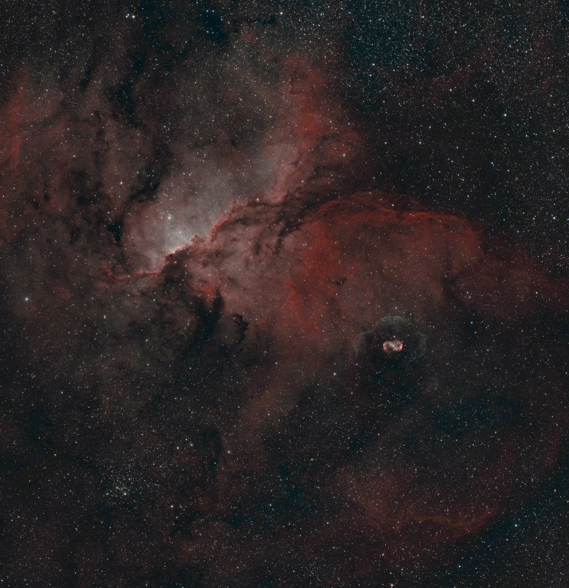 SLFJTweets's tweet photo. The Dragons of Ara

Taken from my backyard in New Zealand on Friday night.
36x10min exposures
SHO version on left and HOO right

#astrophotography #dragons #space #spacecat #zwo #williamsoptics https://t.co/MCWb0bBBg2