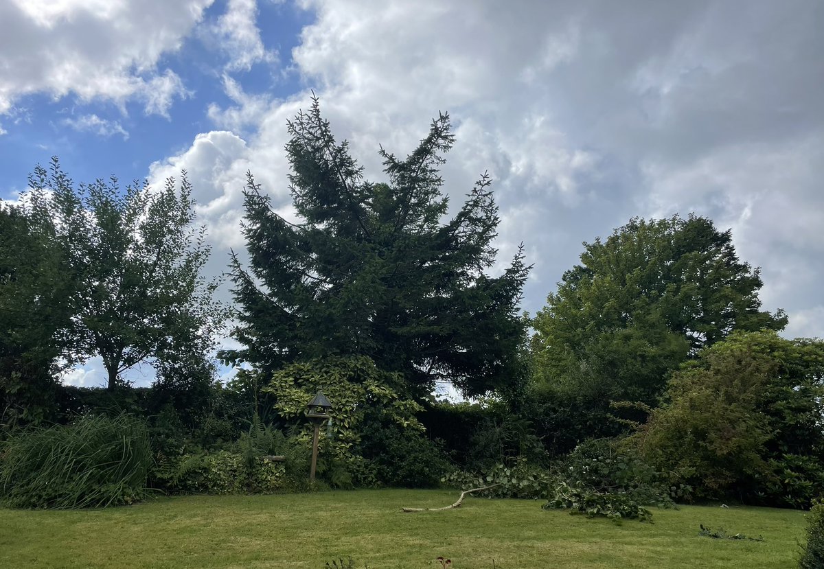 claudiohfox's tweet photo. Todayโs office is about #GettingOutside
& trying to find an overgrown #Hawthorn #Hazel & #Holly hedge & to reshape it (Not my garden)
#Investing thoughts away from screens:
#Lithium will turn &
โBridging the #Disconnect is the greatest challengeโ SM
#DLE & O&G moves into Lithium https://t.co/WurC26hI4B
