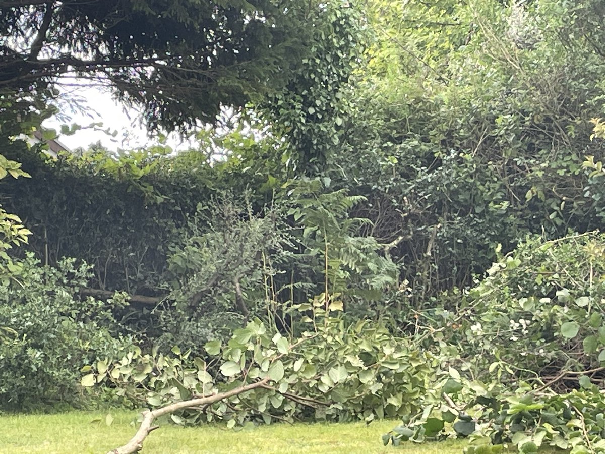 claudiohfox's tweet photo. Todayโs office is about #GettingOutside
& trying to find an overgrown #Hawthorn #Hazel & #Holly hedge & to reshape it (Not my garden)
#Investing thoughts away from screens:
#Lithium will turn &
โBridging the #Disconnect is the greatest challengeโ SM
#DLE & O&G moves into Lithium https://t.co/WurC26hI4B