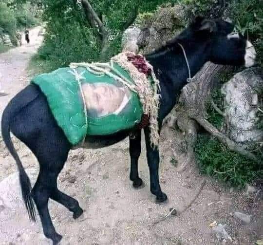 Boht e khoob- <a href="/FatimaPTI_IK/">Fatima PTI</a> 😂😂