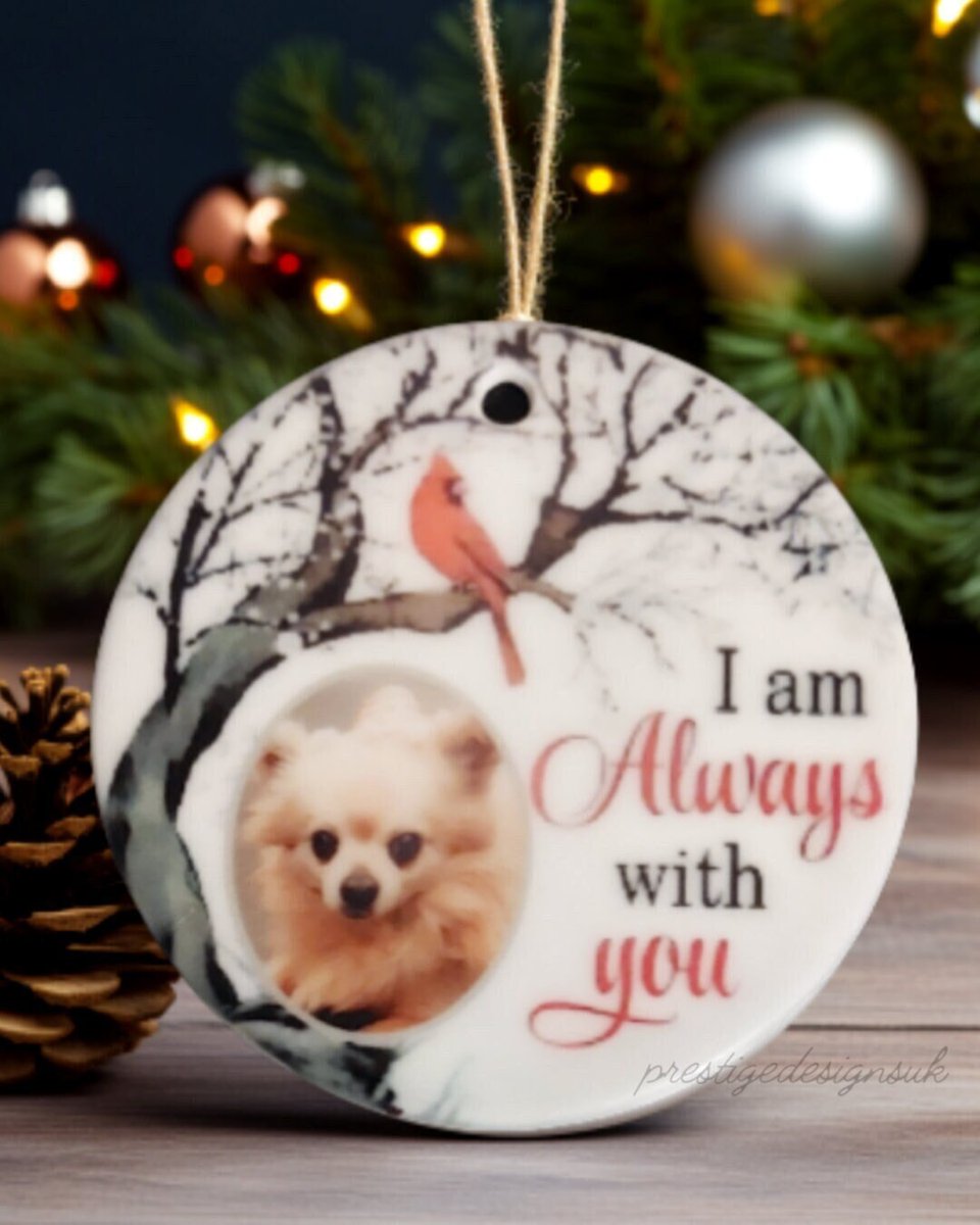 PrestigeKelly's tweet photo. https://t.co/IgHH81nzZw

#memories #gift #christmas #christmasbaubles #giftideas #personalisedgift #memorial #lossofpet #ceramicornaments https://t.co/4Df4N2rCig
