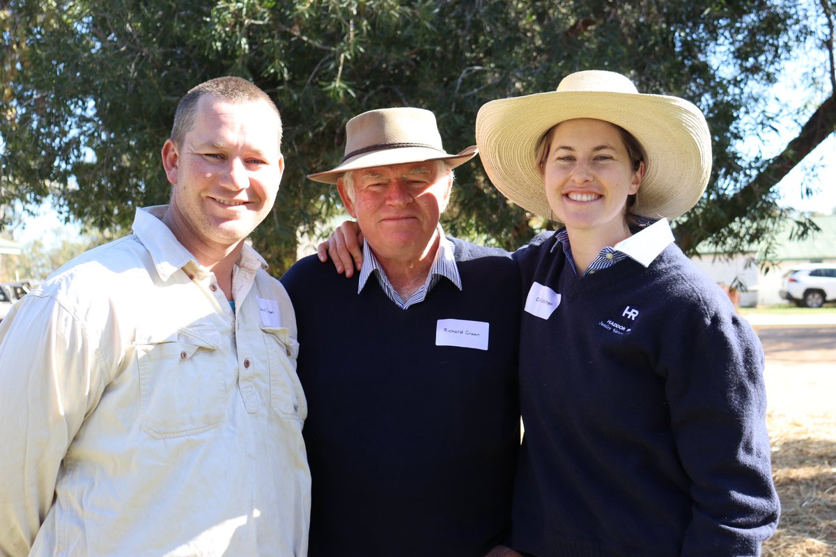 haddonrigstud tweet media