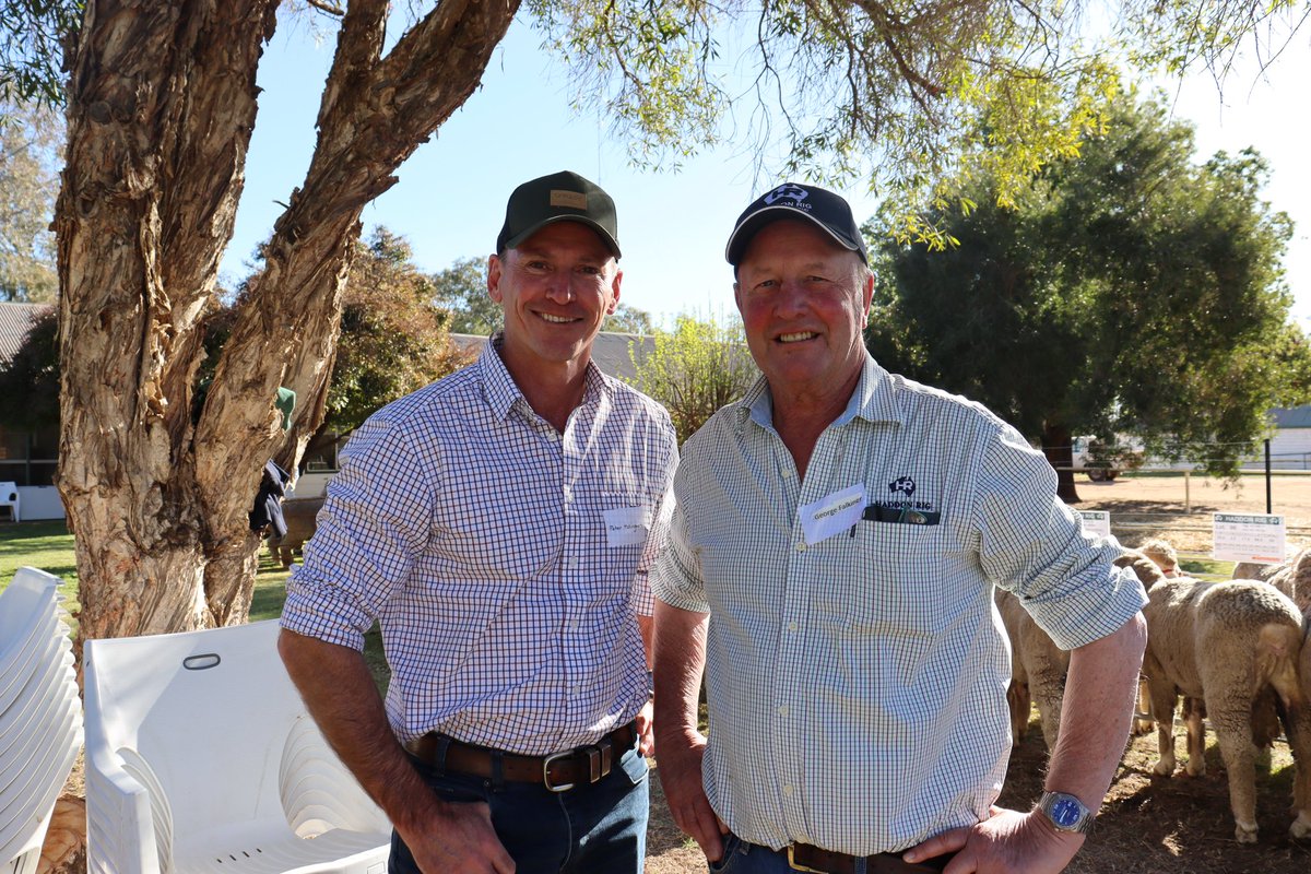 haddonrigstud tweet media