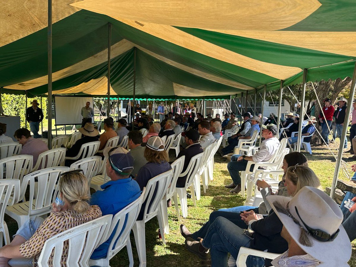 haddonrigstud tweet media