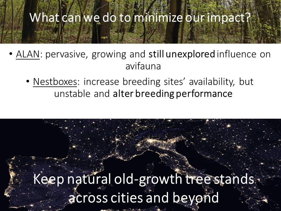 Marion Chatelain tweet media