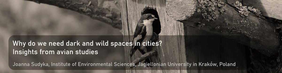 Marion Chatelain tweet media