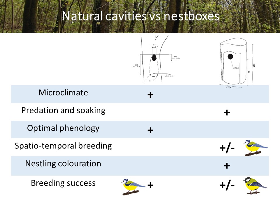 Marion Chatelain tweet media