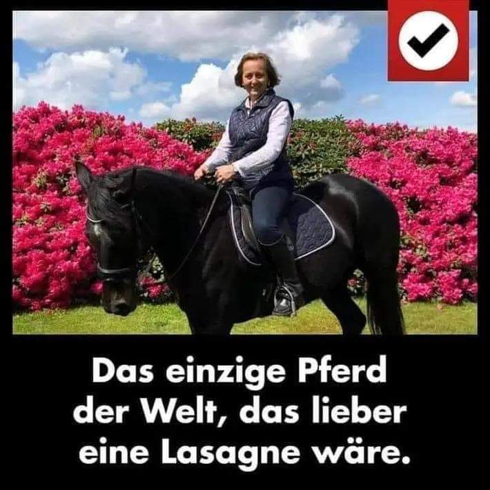 Black Beauty, ich fühl Dich 😏