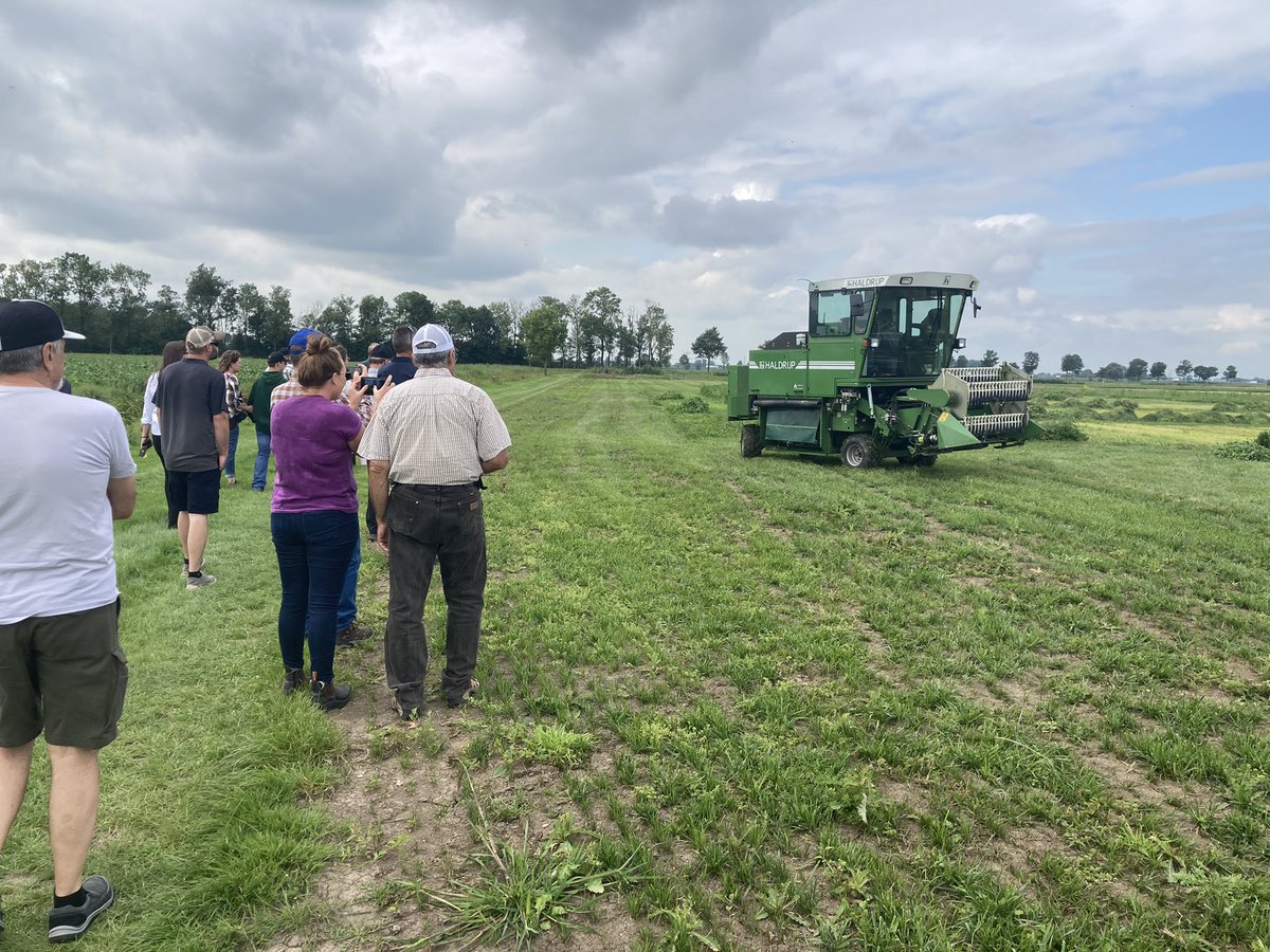 GraemeFinn1's tweet photo. 2nd day on the @UnionForage EU AG tour visiting @BarenbrugGroup forage research farms looking at forage seed production https://t.co/uE3HCqU5qo