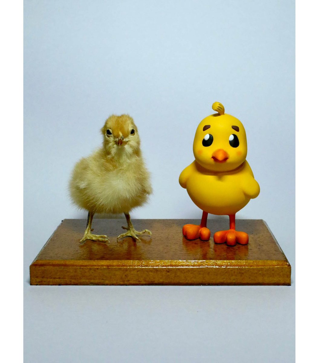 GEISAI_Official's tweet photo. Hidari Zingaro @Hidari_Zingaro
 is pleased to present “Early Mizukami" a solo exhibition by Mizukami Shuu @namahamustar
, the winner of the Special Jury Prize Chris Le Award @clegfx at GEISAI#22&amp;Classic. @GEISAI_Official We look forward to greeting you at the venue.8/18Fri~24Thu https://t.co/THlgDjzE5y