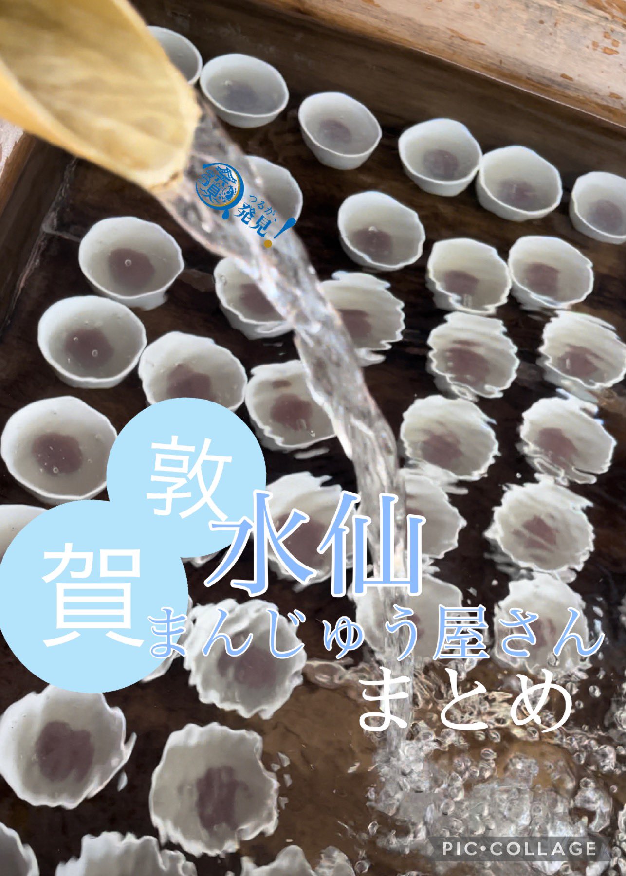 大棗「水仙」浅野 紫仙 作 Amazon｜Grunyia 8束 人工水仙 アウトドアフラワー (紫-水仙